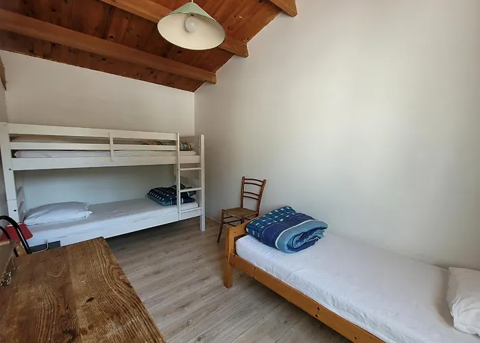 4 A La Palmyre, Proche - Fr-1-705-95 *